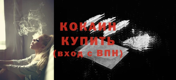 крисы Абаза