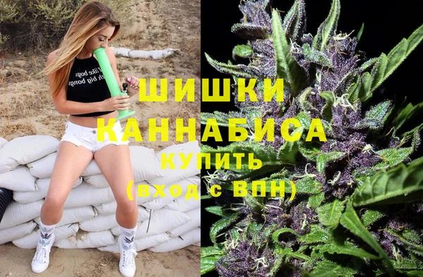 крисы Абаза