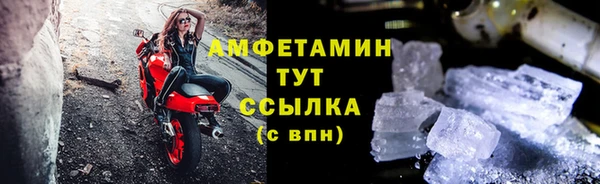 крисы Абаза