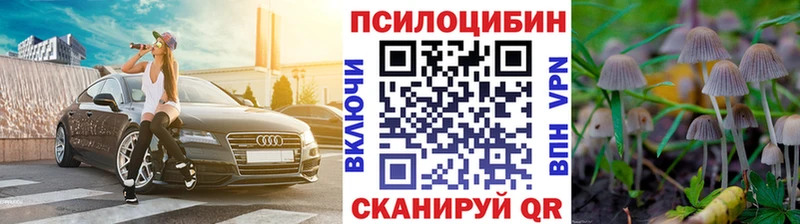 купить  цена  Калачинск  mega   Псилоцибиновые грибы мицелий 