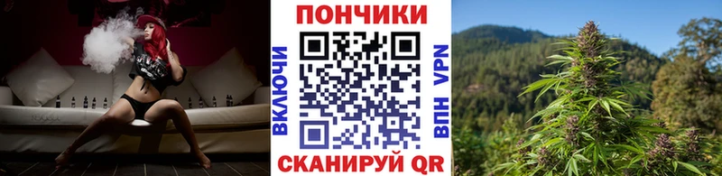 Бошки Шишки семена  Калачинск 